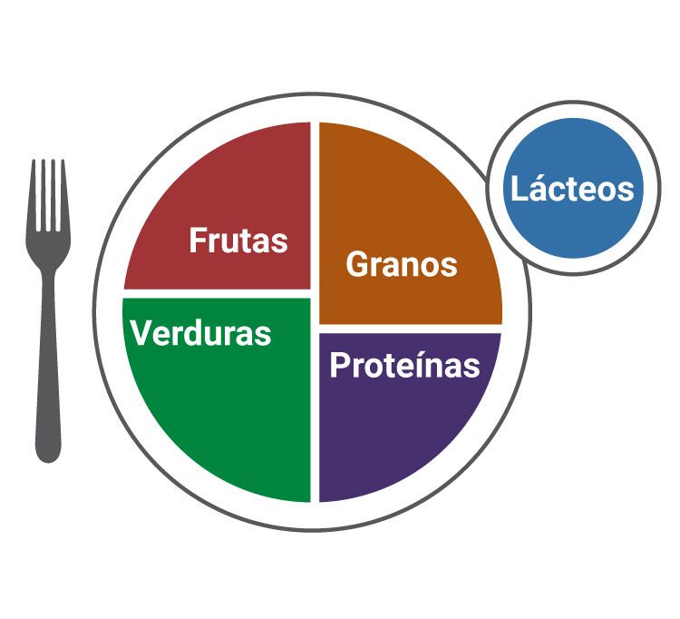 A graphic shows ideal amounts of different food groups on a plate: half fruits and vegetables, one-quarter grains, one-quarter proteins, and a serving of dairy. A graphic shows ideal amounts of different food groups on a plate: half fruits and vegetables, one-quarter grains, one-quarter proteins, and a serving of dairy.